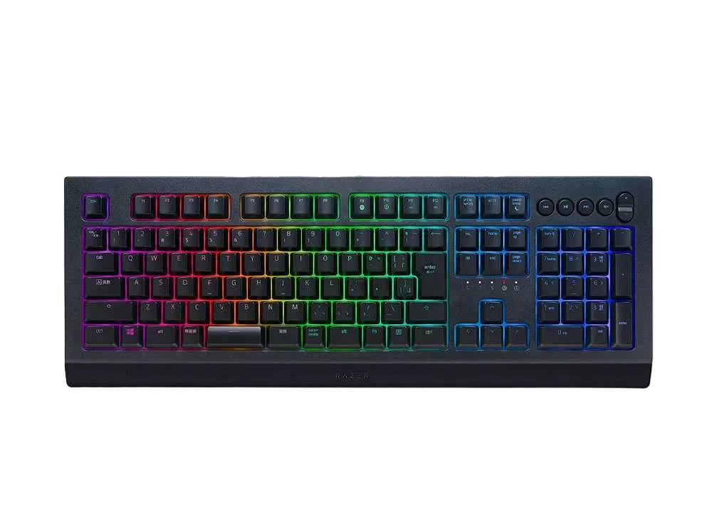 Razer Cynosa V2 - JP