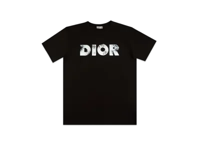 DIOR x DANIEL ARSHAM Logo T-shirt "Black"
