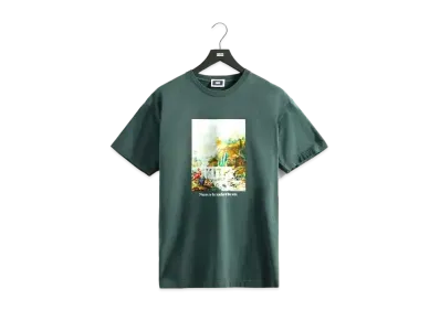 Kith Art Of Nature Vintage Tee "Stadium"