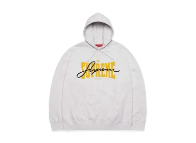 Supreme Embroidered Chenille Hooded Sweatshirt "Ash Grey"