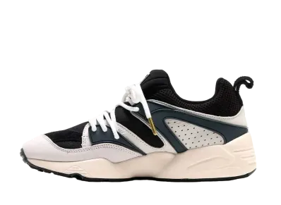 プーマ ブレイズオブグローリー プレミアム "プーマ ブラック ダーク スレイト ウィスパー ホワイト"