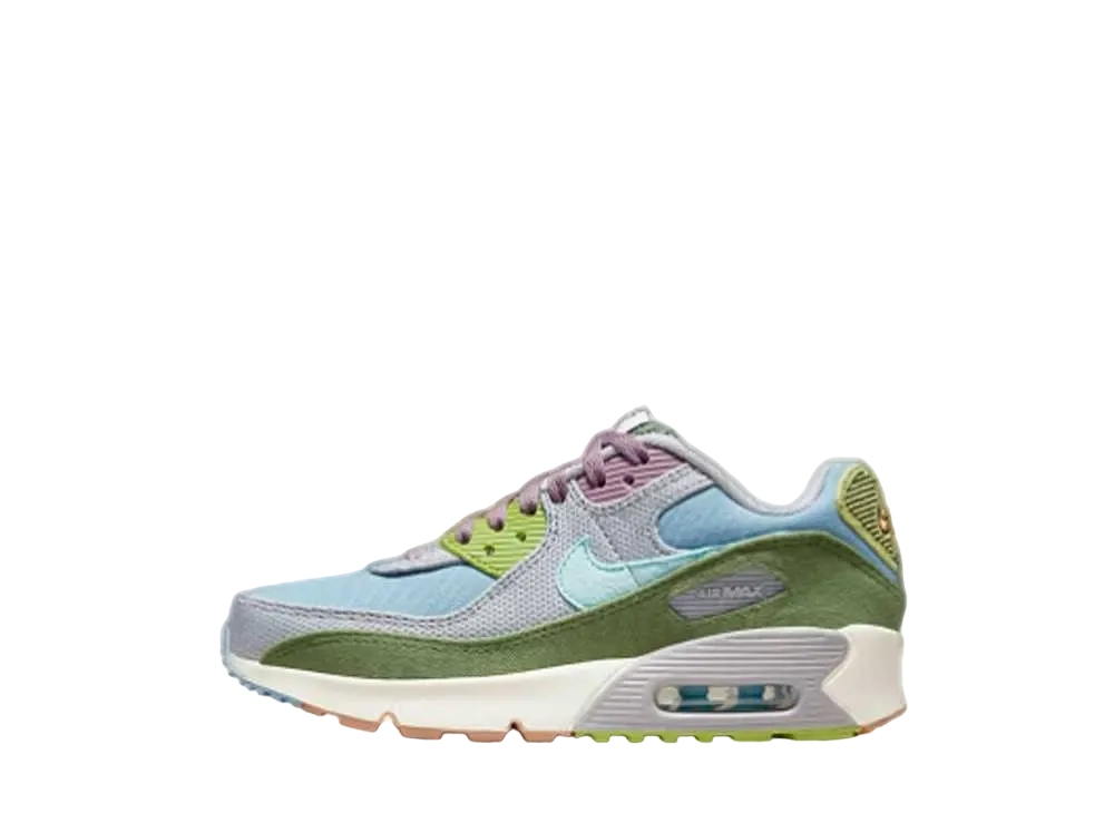 Nike Air Max 90SE "Bule/Copa"