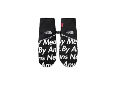 Supreme The North Face By Any Means Winter Runners Gloves "Black"