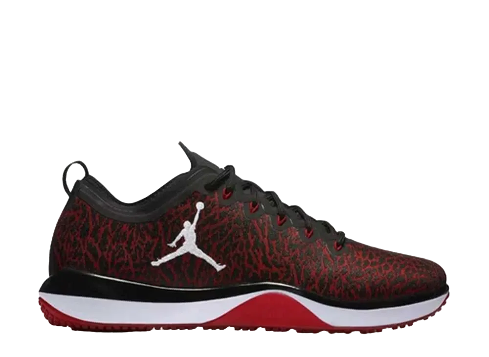 Nike Air Jordan Trainer 1 Low 