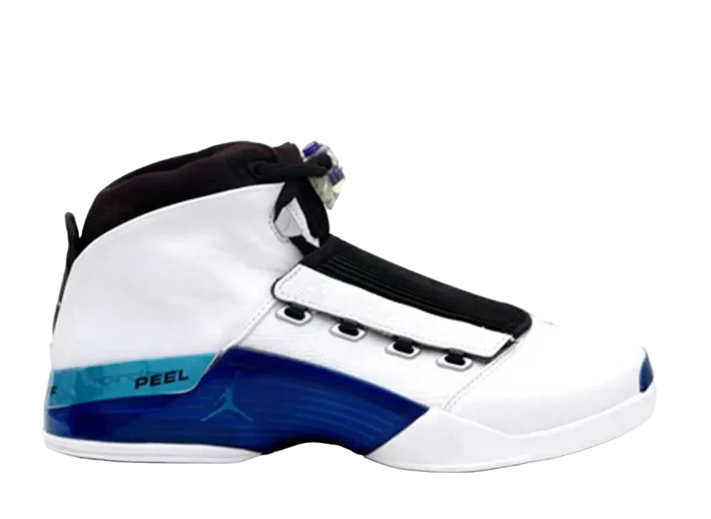 Nike Air Jordan 17 OG "Wizards Home"