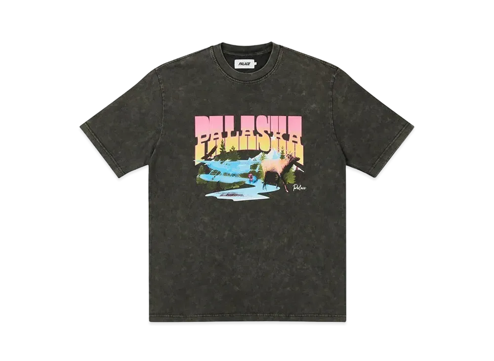 PALACE PALASKA DYE T-SHIRT "Black"
