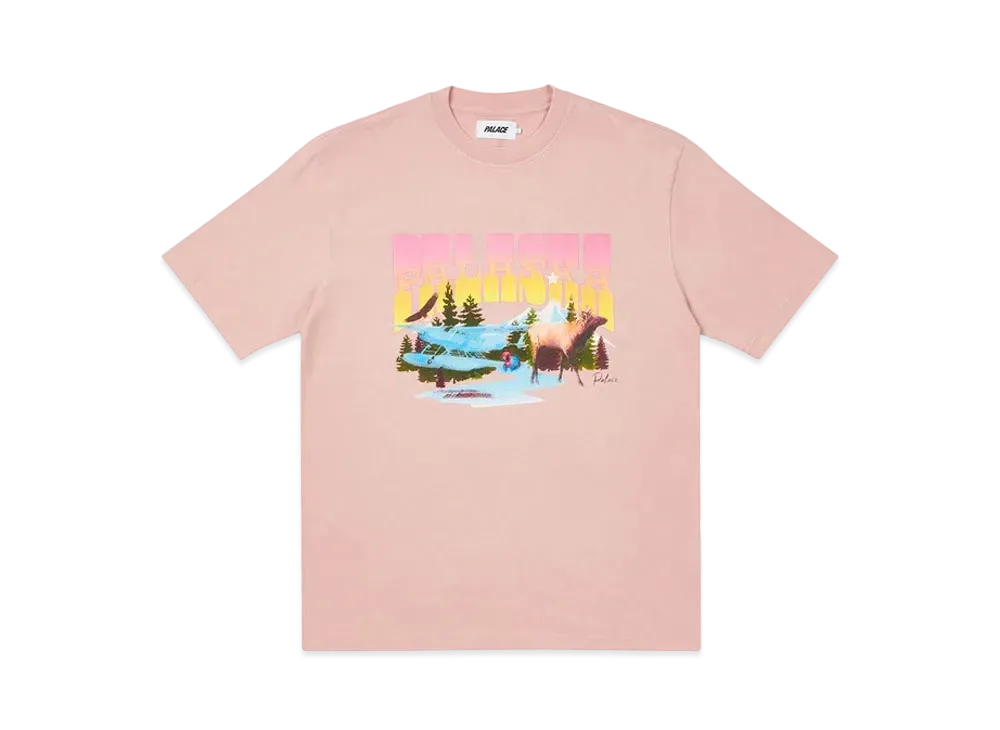 PALACE PALASKA DYE T-SHIRT "Pink"