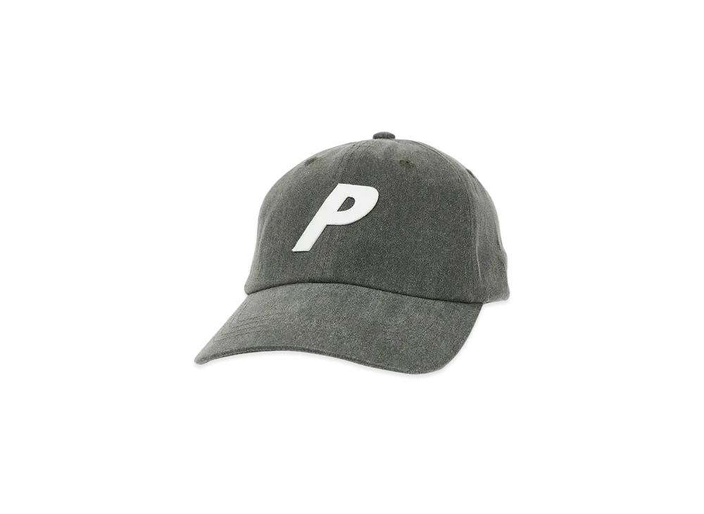PALACE PIGMENT P 6-PANEL "Grey"