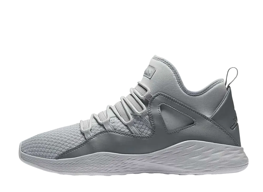 Nike Air Jordan Formula 23 "Cool Grey Wolf Grey"