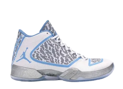 Nike Air Jordan 29 "Pantone"