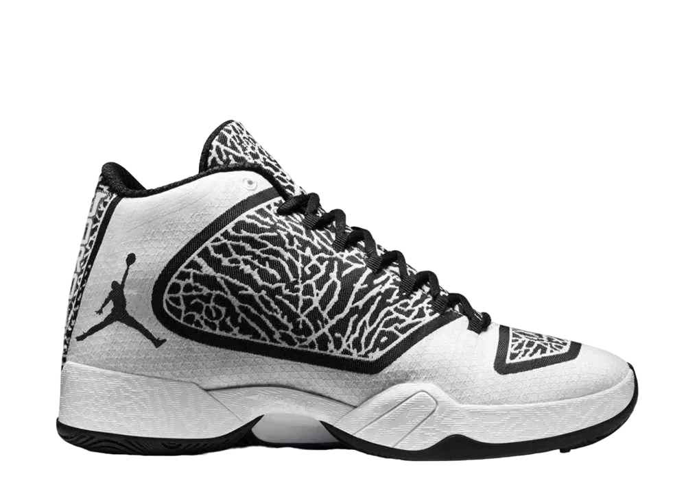 Nike Air Jordan 29 "Black Black White"