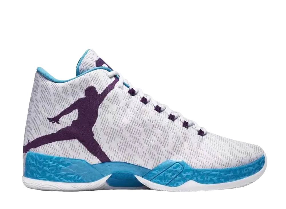 Nike Air Jordan 29 "Fengshui"