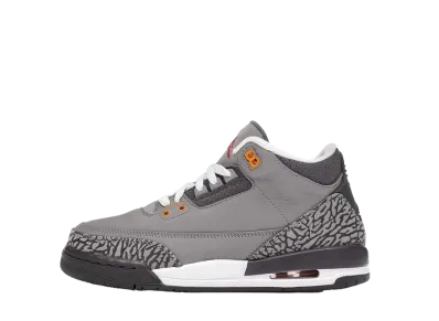 Nike GS Air Jordan 3 Retro "Cool Grey" (2021)