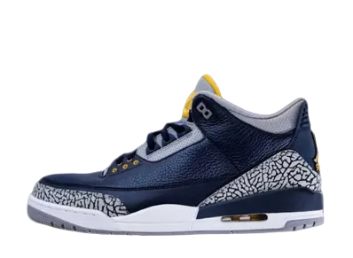 Nike Air Jordan 3 Retro "Michigan PE"