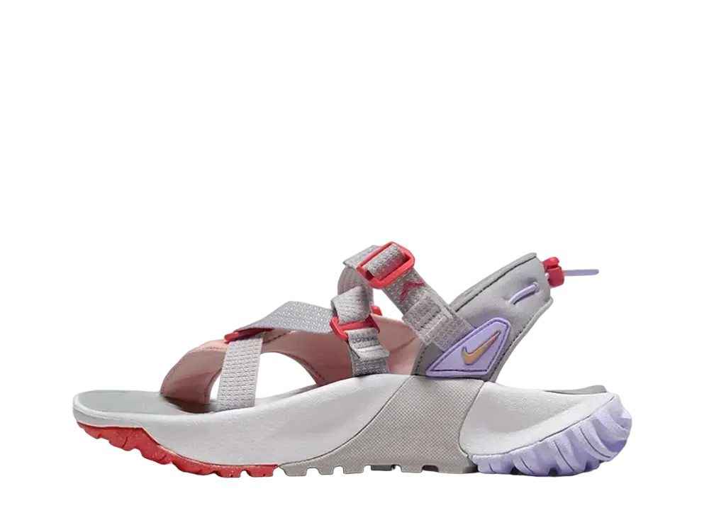 ナイキ ウィメンズ オニオンタ "フラットシルバー/メロンティント"