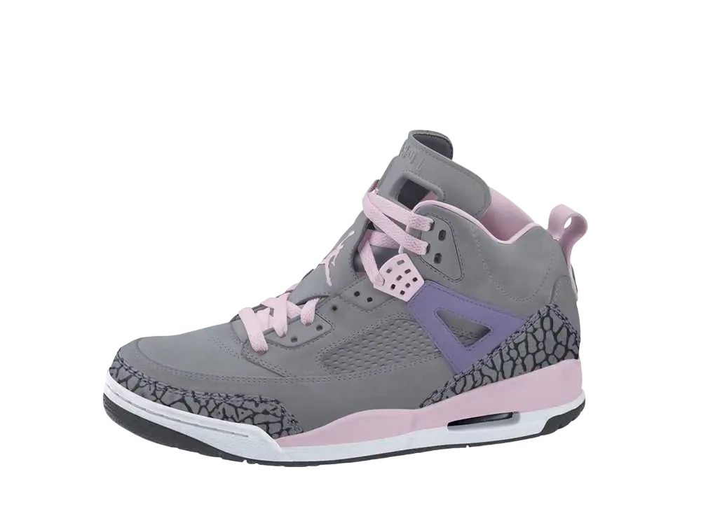 ナイキ GS エアジョーダン スパイジーク "パープル アース"