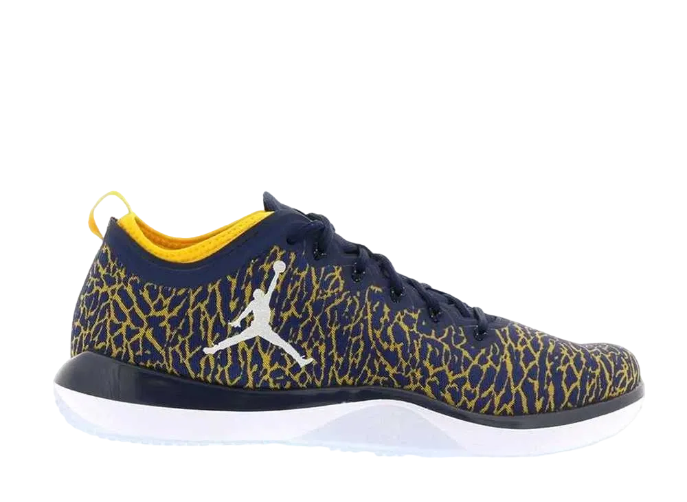 Nike Air Jordan Trainer 1 Low "Michigan"