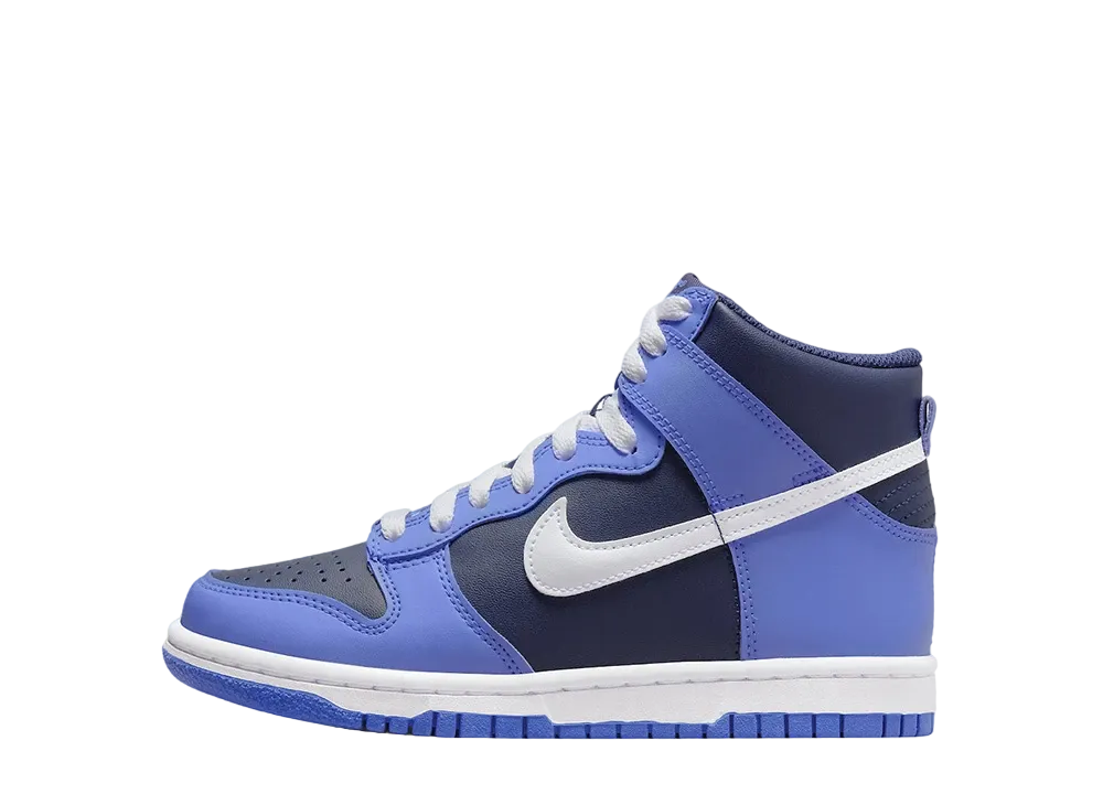 ナイキ GS ダンク ハイ "オブシディアン"