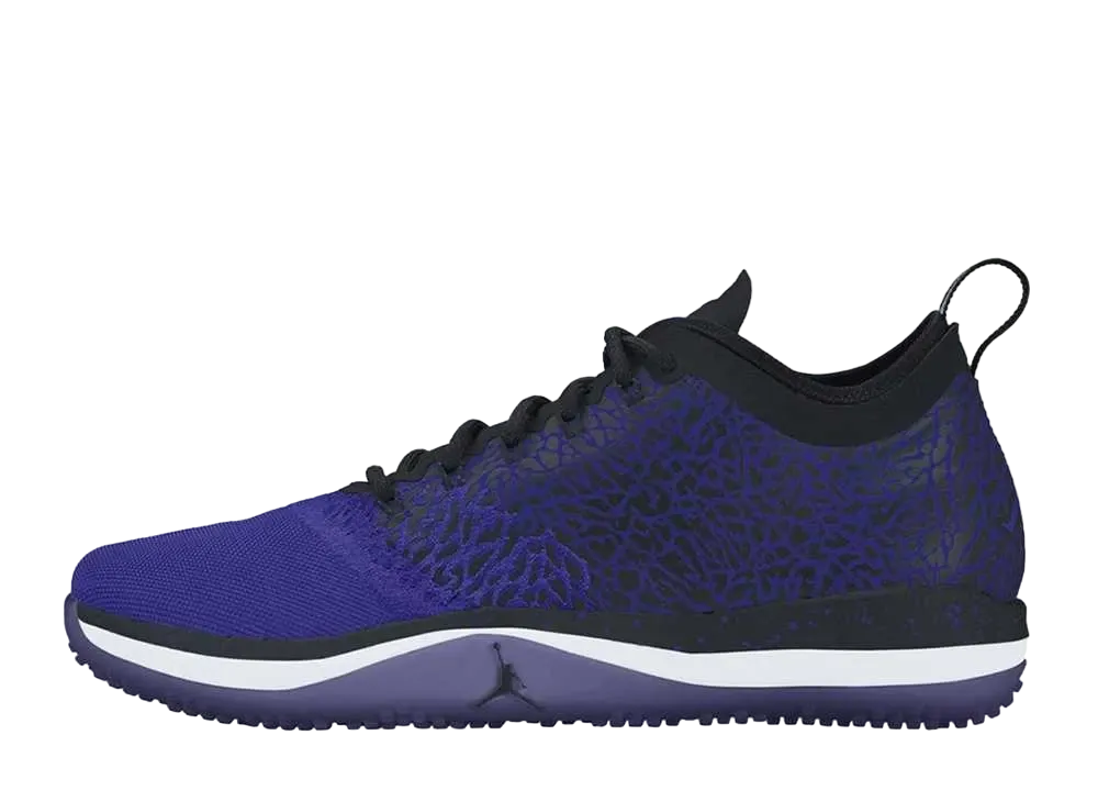 ナイキ エアジョーダントレーナー 1 ロー "コンコード"