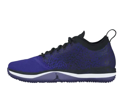 Nike Air Jordan Trainer 1 Low "Concord"