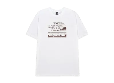 Supreme x The North Face Metallic Logo T-Shirt "White"