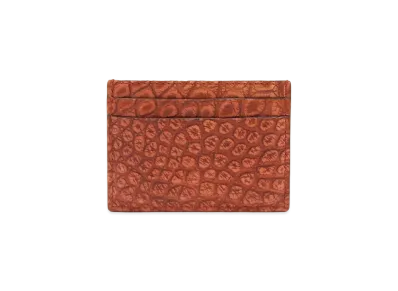 GUCCI Crocodile Card Case "Brown"