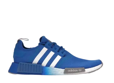 adidas NMD R1 "Blue Bird"