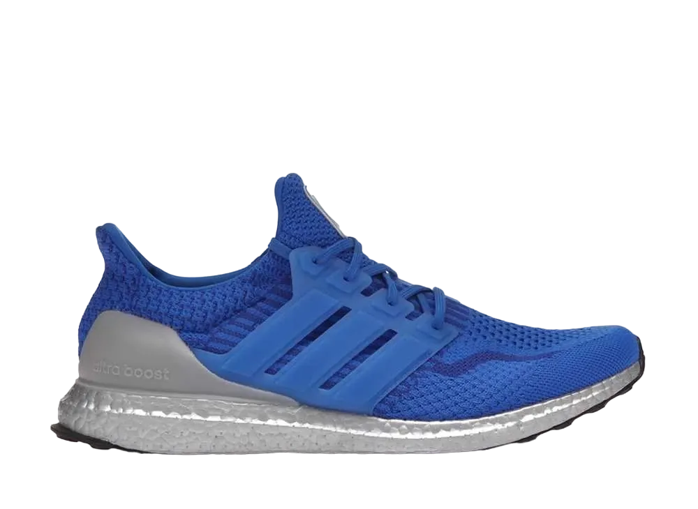 adidas Ultra Boost 5.0 DNA NASA Football "Blue"