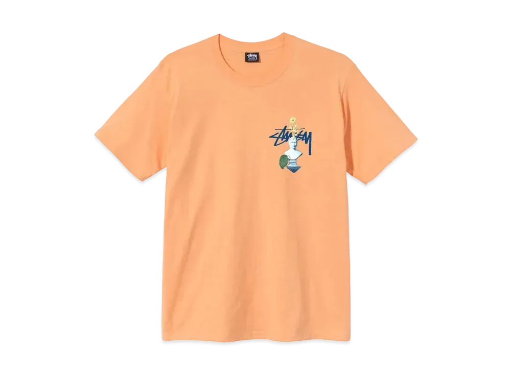 Stussy Psychedelic Tee "Peach"