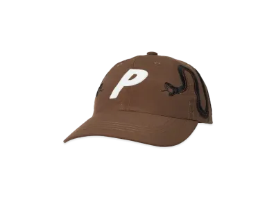 PALACE SNAKE P 6-PANEL "Brown"