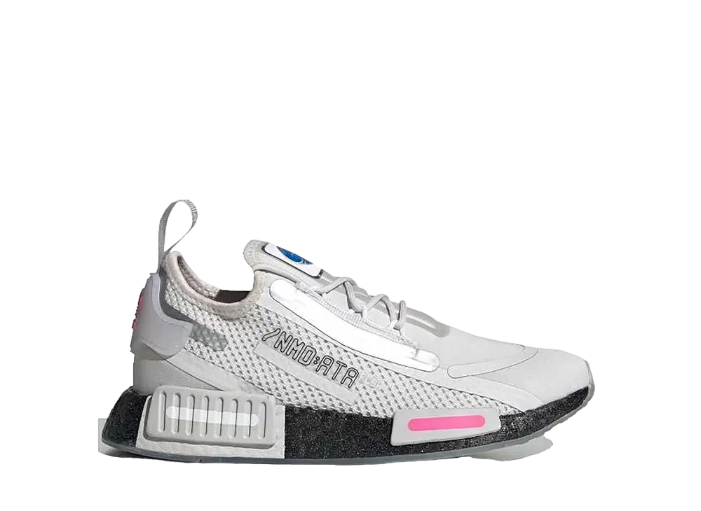adidas GS NMD R1 Spectoo NASA "Dash Grey"