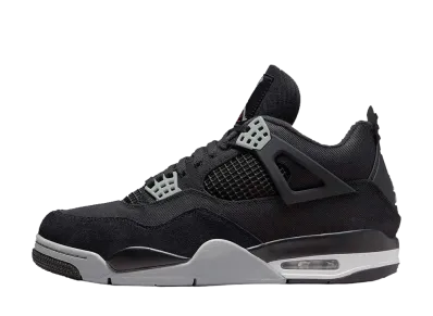 Nike Air Jordan 4 SE "Black and Light Steel"