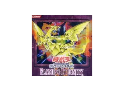 遊戯王OCG デュエルモンスターズ フレイミング・エターニティ ボックス