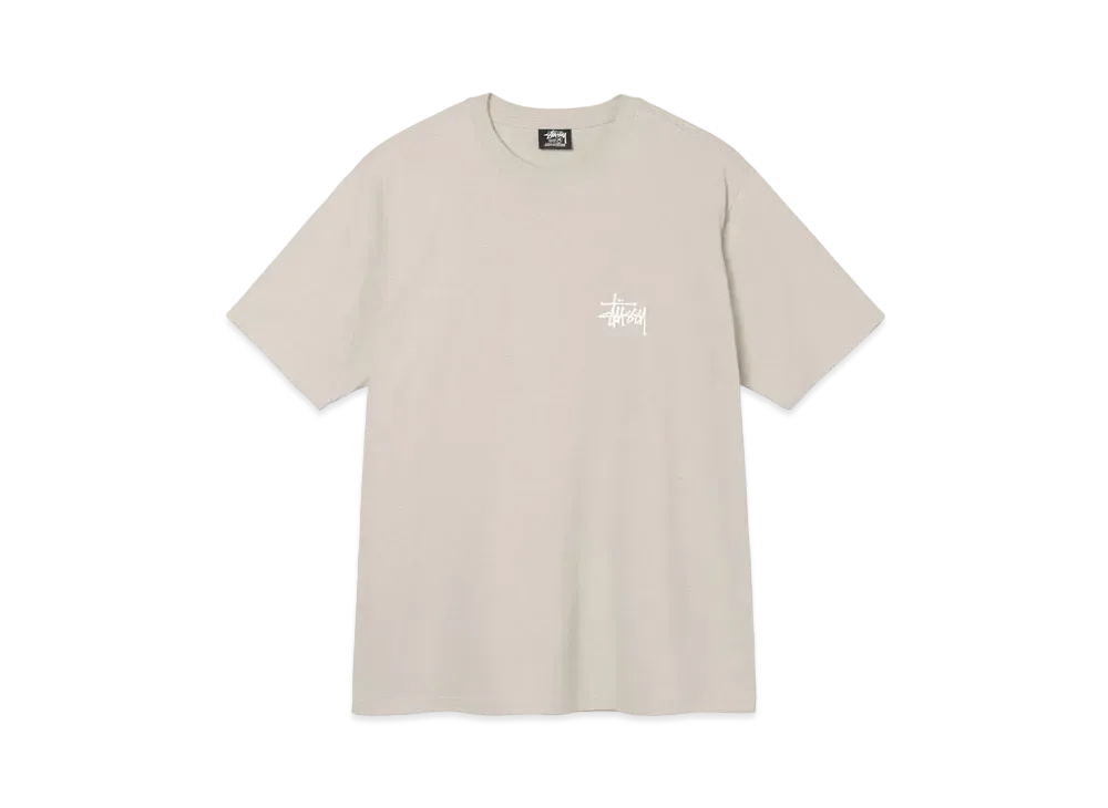 ステューシー ベーシック ステューシー Tシャツ "スモーク "