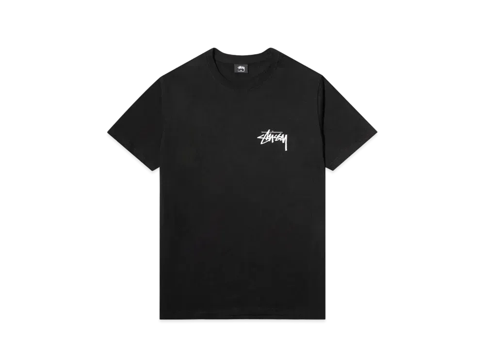 ステューシー ペア オブ  ダイス Tシャツ "ブラック"