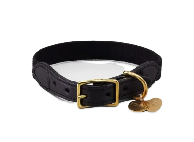 NEIGHBORHOOD FOUND MY ANIMAL / CL-COLLAR "Black"