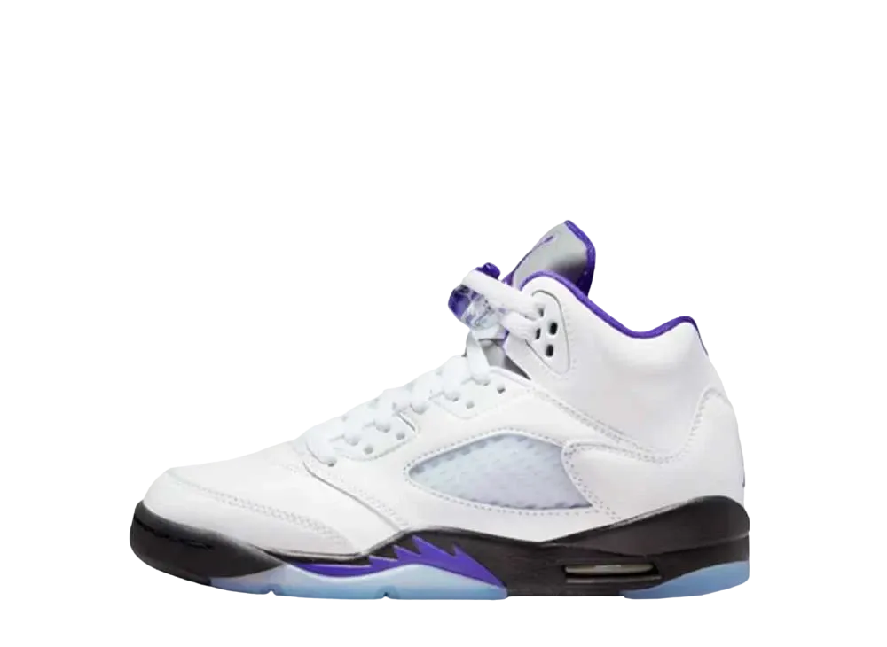 Nike GS Air Jordan 5 Retro "Dark Concord"
