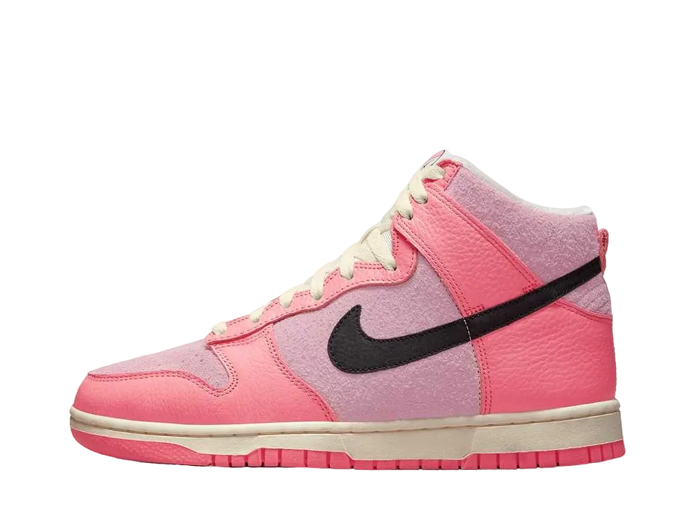 ナイキ ウィメンズ ダンク ハイ "ナイキ フープス"