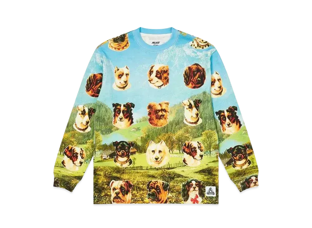 PALACE PAYNE WAFFLE LONGSLEEVE "Multi"