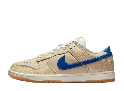 オフ ザ フック × ナイキ ダンク ロー PRM "モントリオール ベーグル"