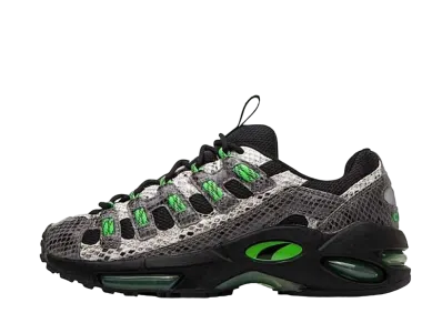 Puma Cell Endura Animal Kingdom "Black"