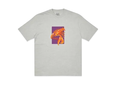 PALACE Thermadore T-Shirt "Grey Marl"