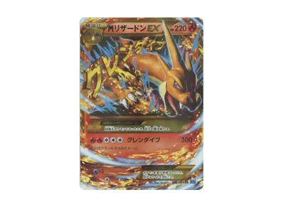 ポケモンカードゲーム XY 拡張パック ワイルドブレイズ 再販 パックの ポケモンカードゲーム XY 拡張パック ワイルドブレイズ 再販 パックの