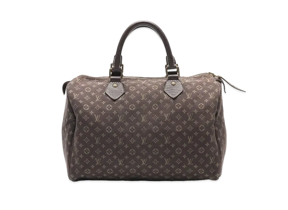 Louis Vuitton Monogram Mini Lin Speedy 30 "Ebene"