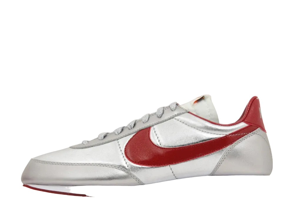 ナイキ テールウィンド ナイト トラック "メタリック シルバー"