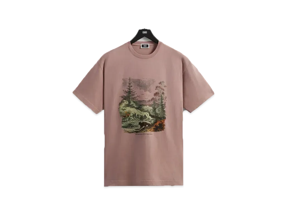 Kith Nature Society Vintage Tee "Dusty Quartz"