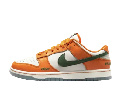 Florida A&M × Nike Dunk Low "Orange Horizon"