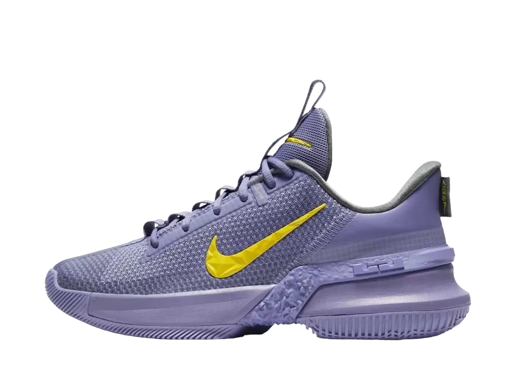 ナイキ レブロン アンバサダー13 "レイカーズ"