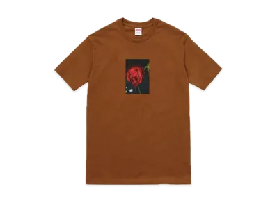 Supreme Araki Rose Tee "Brown"
