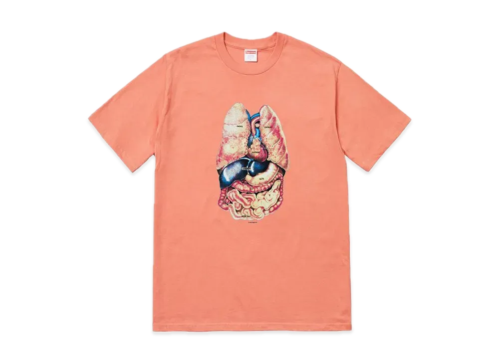 Supreme Guts Tee "Terra Cotta"